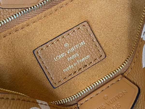 l**is V*t*n multi pochette accessoires