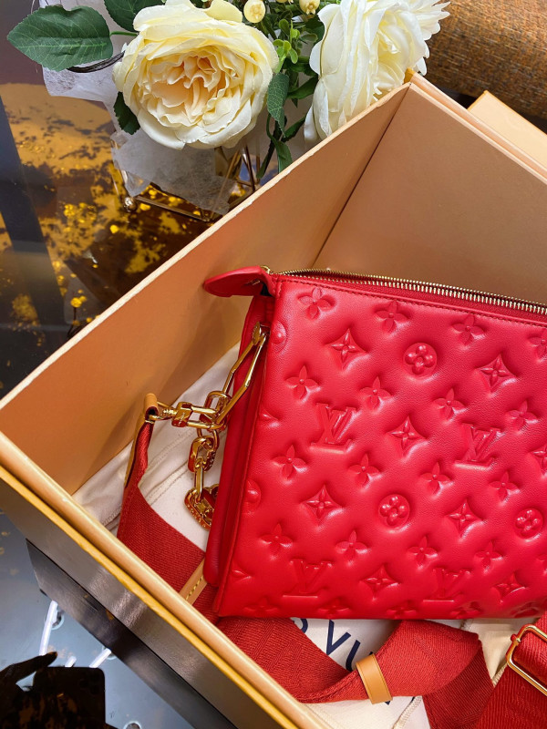 l**is V*t*n coussin pm