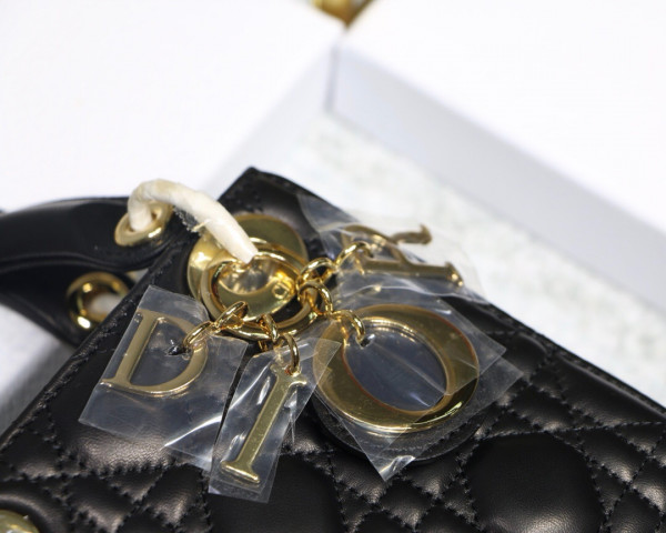 lady D*or mini with lambskin