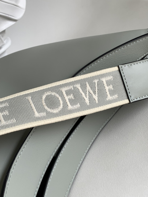 LOEWE Luna bag